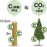 木の家はCO2を固定できる イメージ