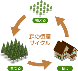 森の循環サイクル　植える・育てる・使う