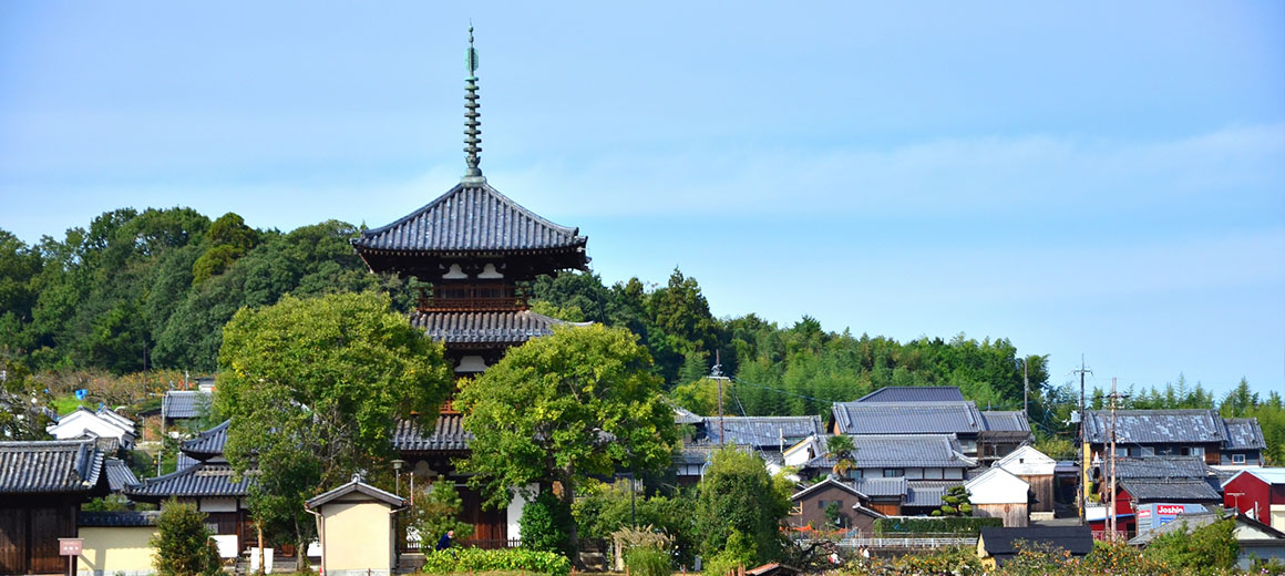 木の強さと経年劣化